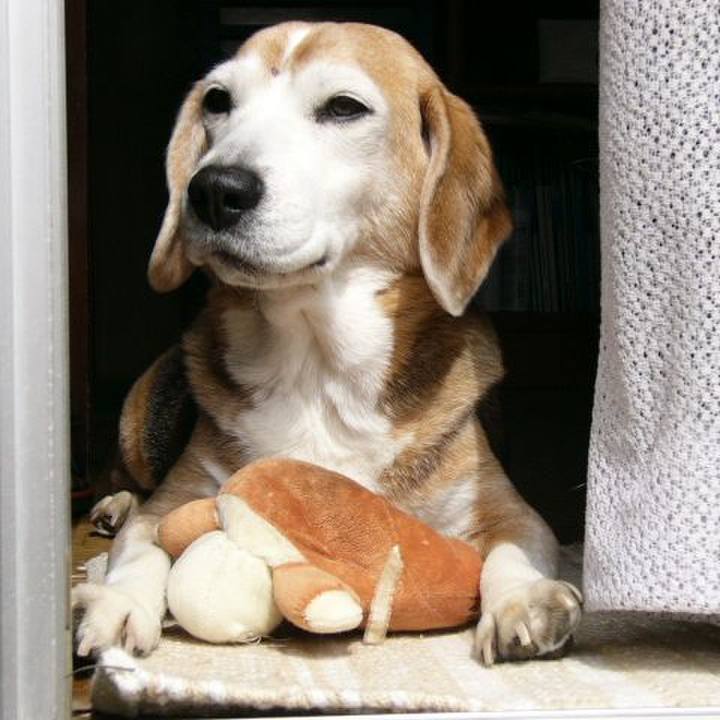 6741309a 82c2 47c2 9459 9ac94507b002 1661474388407