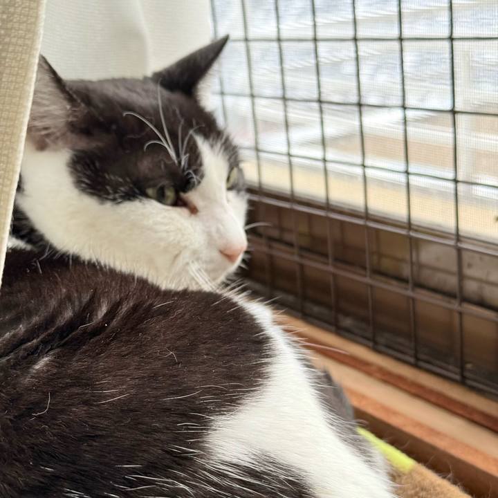 674136d1 4388 4070 8f6e ebd02ca300eb 1762393639761