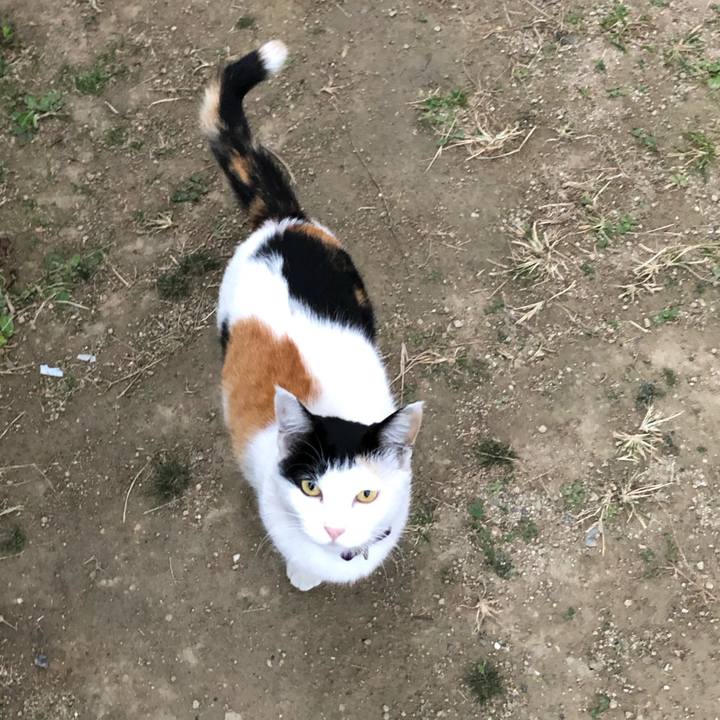 67414f25 47f2 4cc5 8af6 faae5992c203 1636497335537