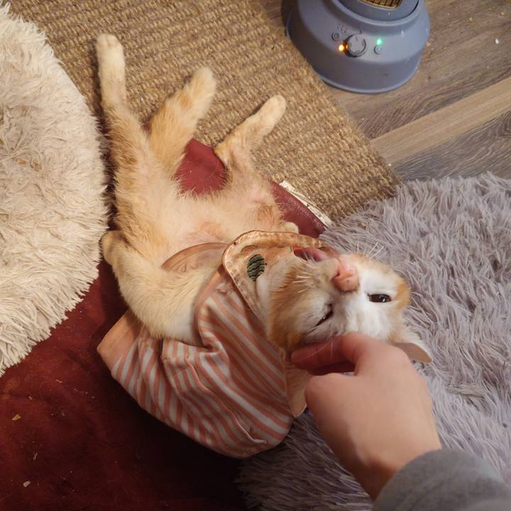 67415fb4 8157 4d7b acc3 44ef6db437e8 1769230668203