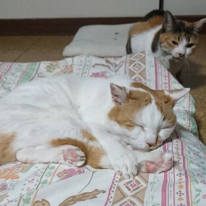 67422474 0a29 4c0f bd54 32959058841e 1652513717408