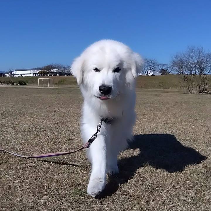 6742436d beb3 459a 9786 08e162a48c0c 1670472154420