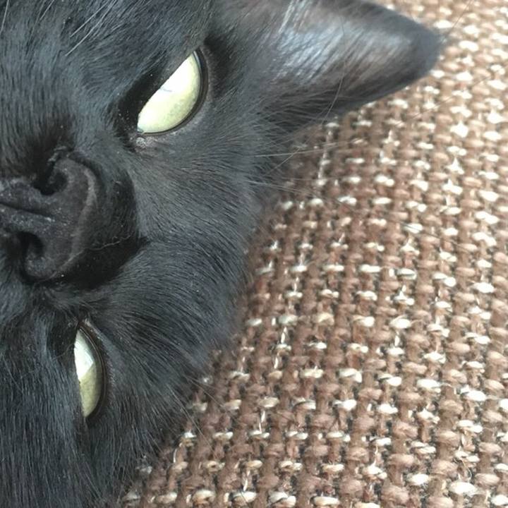 674257f0 3855 4c63 b489 20606a79bb2e 1519706707905