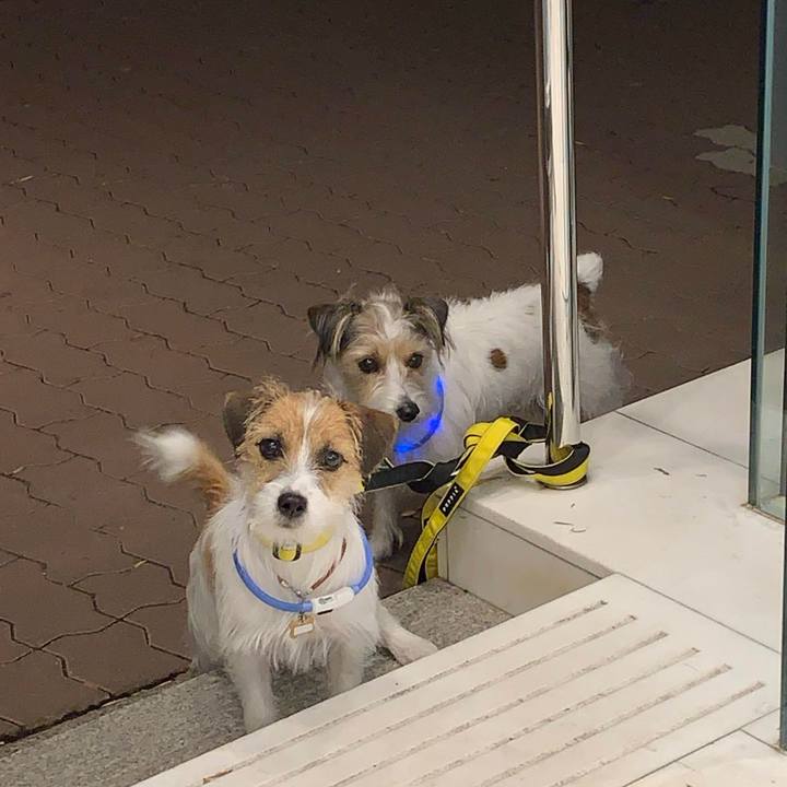 67425dfc 4b66 4f4b 871e c026ed93e29c 1773237379362