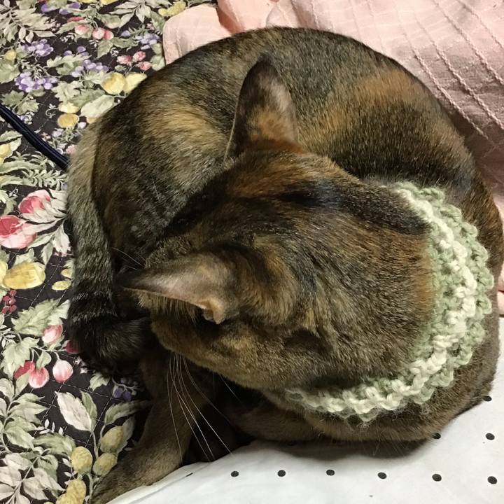 674266f9 7fcc 451f b691 b97b8ec3902b 1646996315388