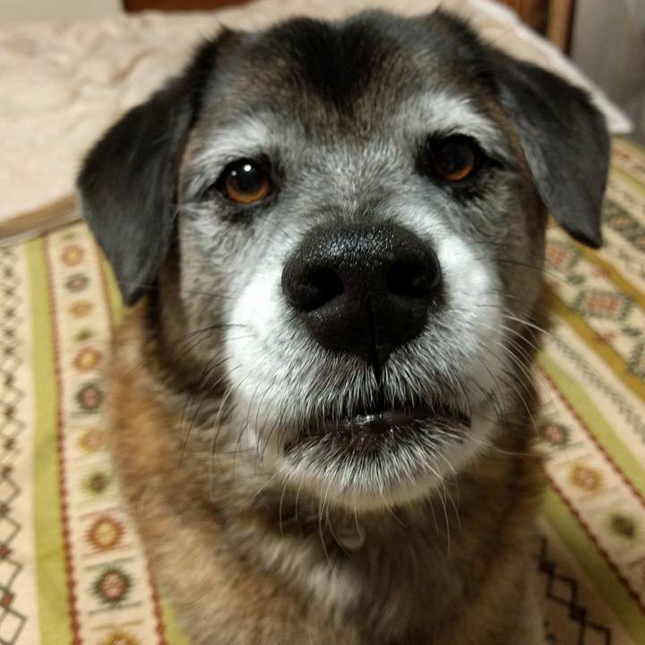 674269a7 5741 42ee bff9 a029773bb6bc 1512347898713