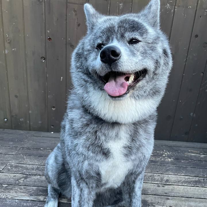 67428005 4a64 4e5d afa4 65578cd086ac 1621072101198