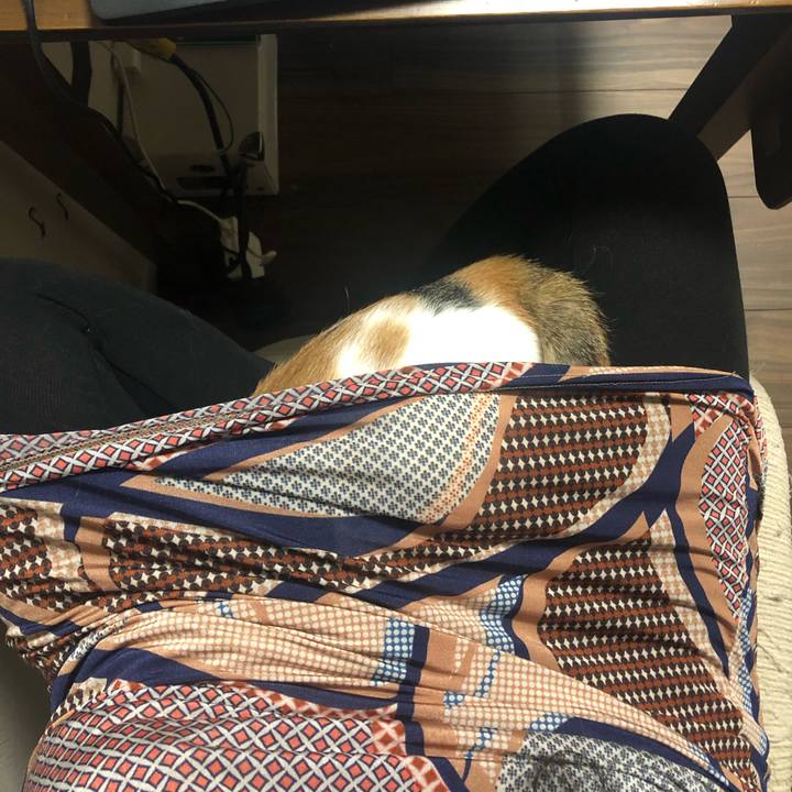 6742892f e397 4729 ac81 3da4349edd74 1602670691617