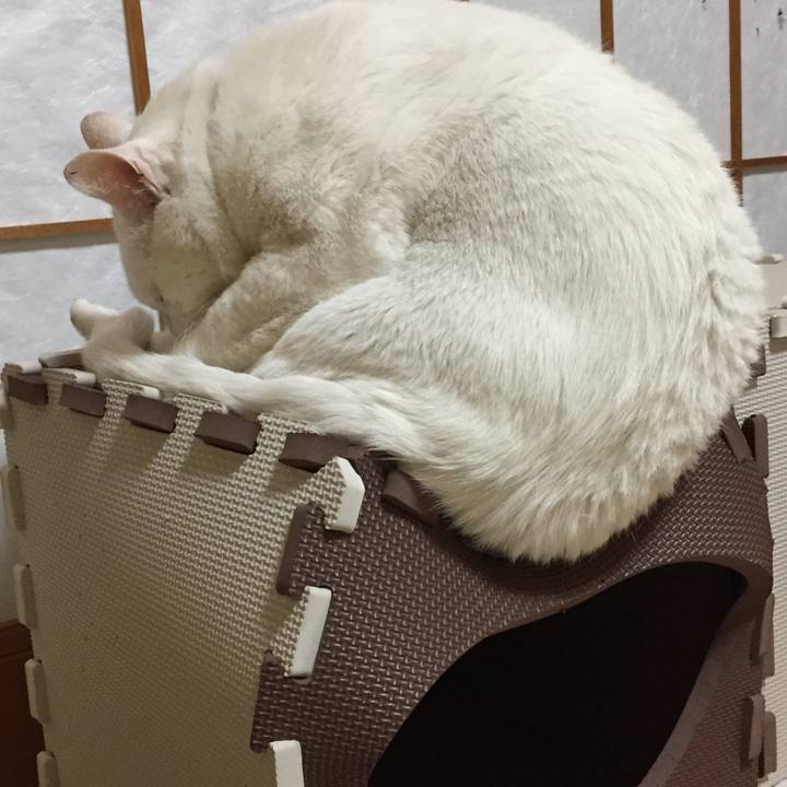 67429bff f473 429f ad3c 4ea3e4cb8eda 1558187502354