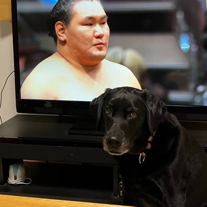 6742cb26 83ae 45c3 a541 63a82f83ff87 1737932389591