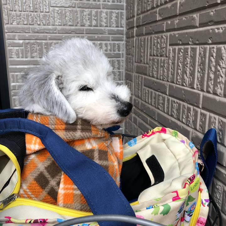 6742d695 4770 4fd4 8ab6 a942ad608bdb 1646783495012