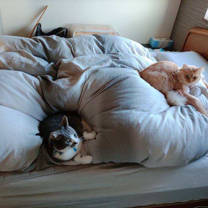 6742fd89 f742 4f95 8b14 07deb26f76f9 1667951551938