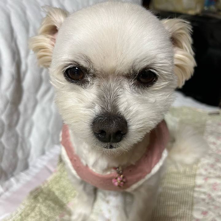 67430b8f 9163 48cf aee6 2697b84c2aba 1651150042754