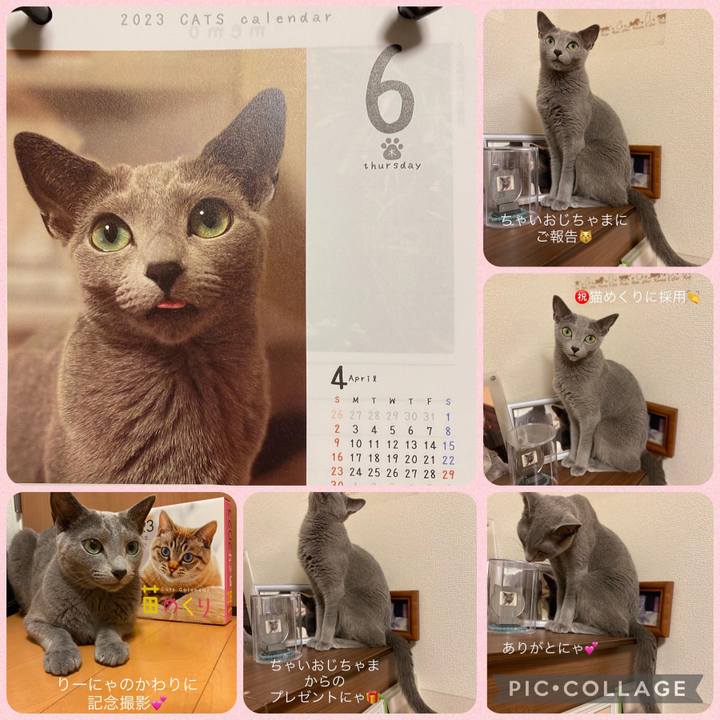 674325a3 8dd4 442c ac9b f4cb5920f3b6 1663795657621