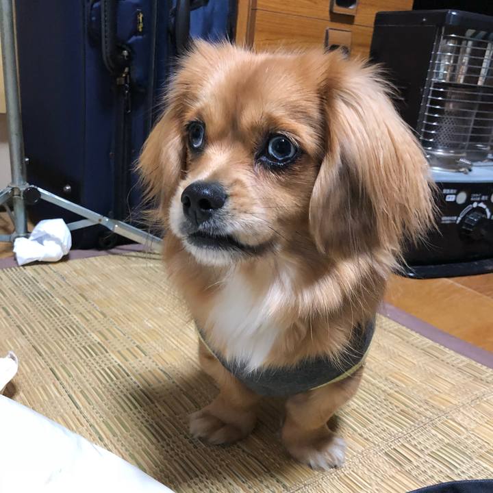 6743282d b0fa 486b 9418 bd6e49615481 1515705401858