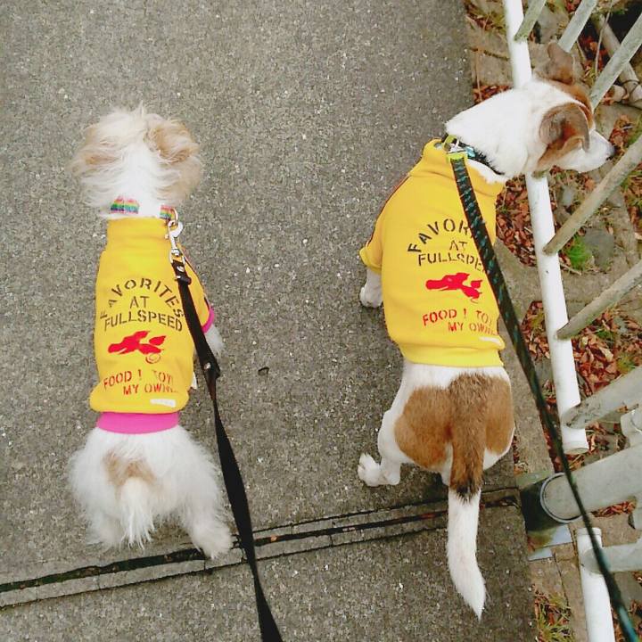 6743829a 0e17 4364 9efb 520b18cffbe3 1515310970950