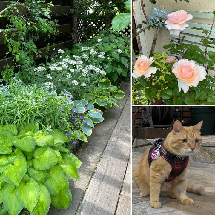 6743ae9a 751e 4441 8bbf fa155e04b502 1665621206265