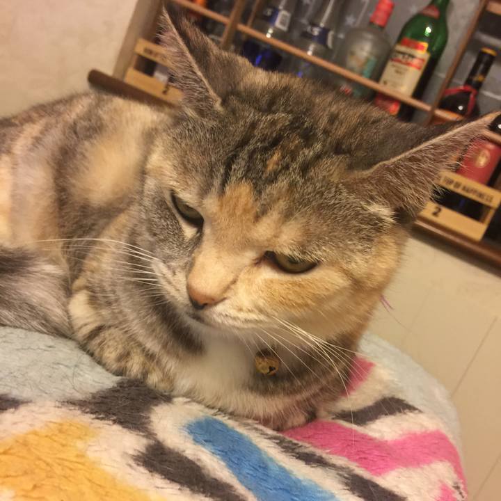 6743c7b8 a735 4c8b 82a1 0a1327435cca 1561803559358