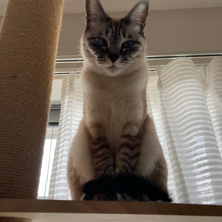 67443a40 4195 4c99 8338 d9cf98992827 1616208607099