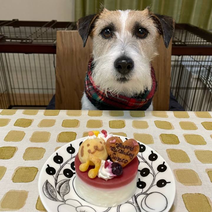 67444c26 a852 45f6 8754 2168cb2a9fdc 1677851006527