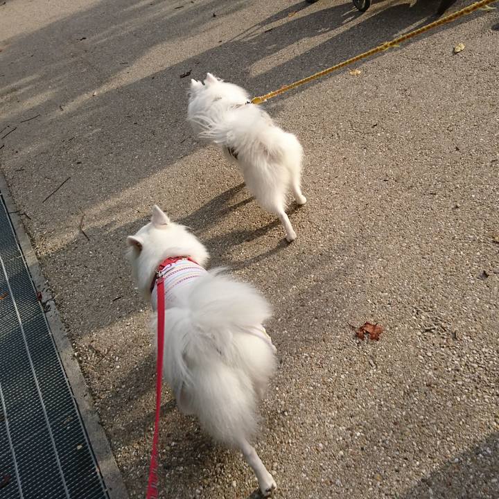 67446647 446b 4b28 8182 68f7a16c8e5d 1539508986743