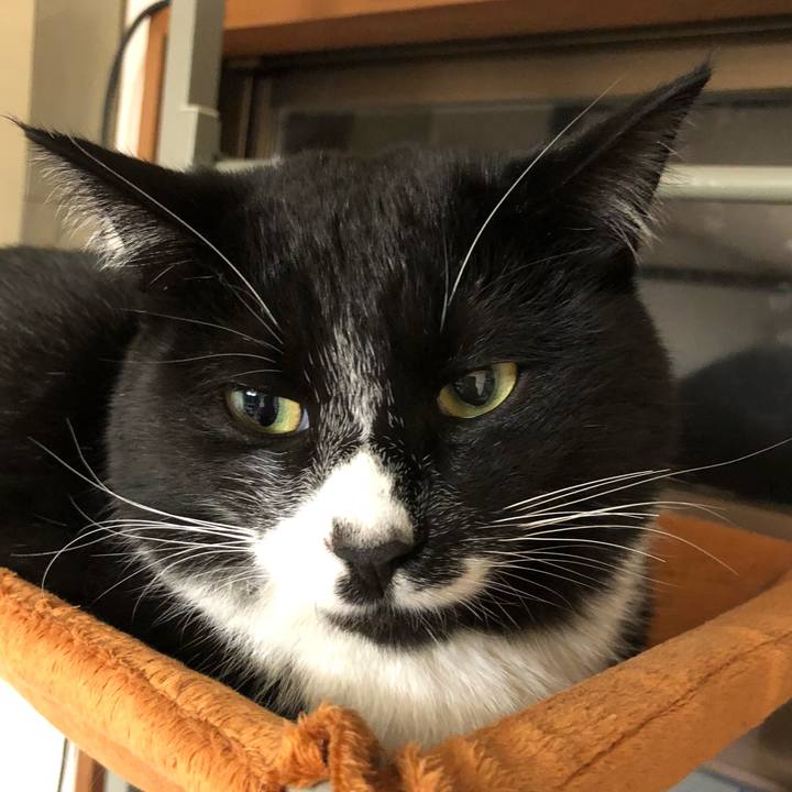 6744c9a7 9a4c 43cf 9d5d 2ebb95538e79 1517975009361