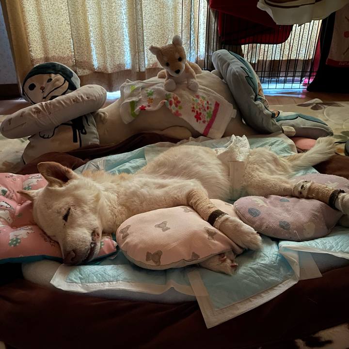 6745046a c8c6 48e9 84d6 fb4fa573119c 1686082200908