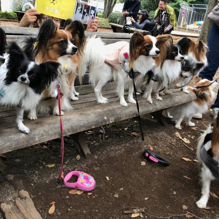 674506ff 299f 4206 9320 5656ff8fc6d2 1509178023241