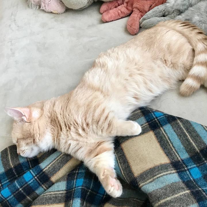 6745513c 6b29 4d66 bdb2 7bc6e1bcd3c3 1525505821383