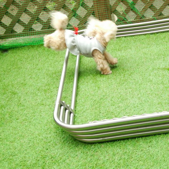 674561c0 2f37 49dd 8246 198fc153d88e 1553257472642