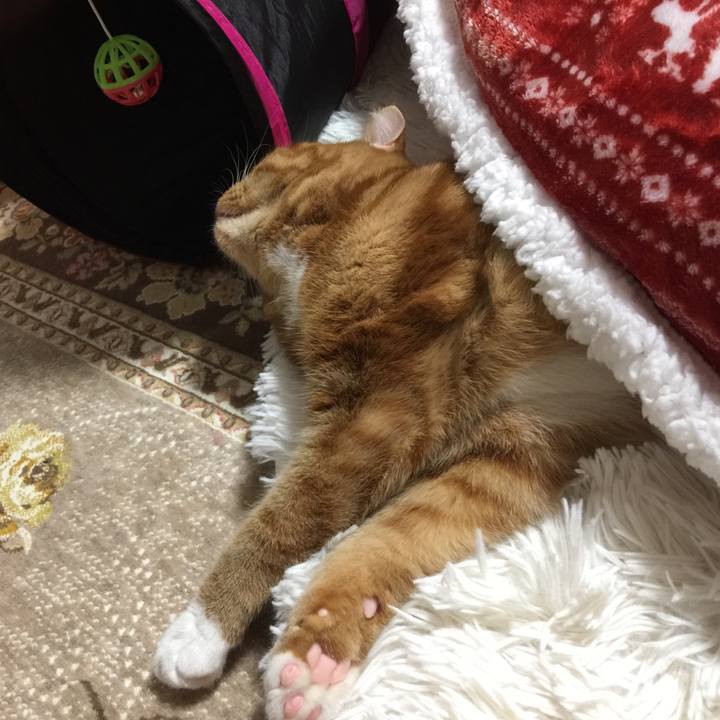 674569a6 3ab7 4c9a 925b ec46434b9c97 1513864262348