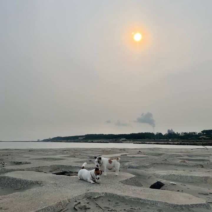 674599cf 25ef 49d0 a4eb 3b7b6619e9f5 1720834956127