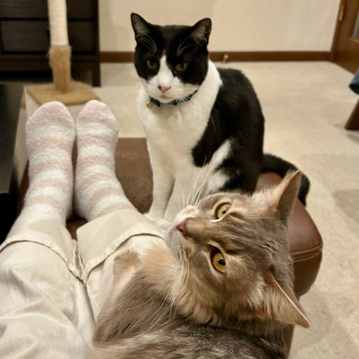 6745bfcb 8cd8 464d 8ffd 82ea4f8a420f 1775133614505