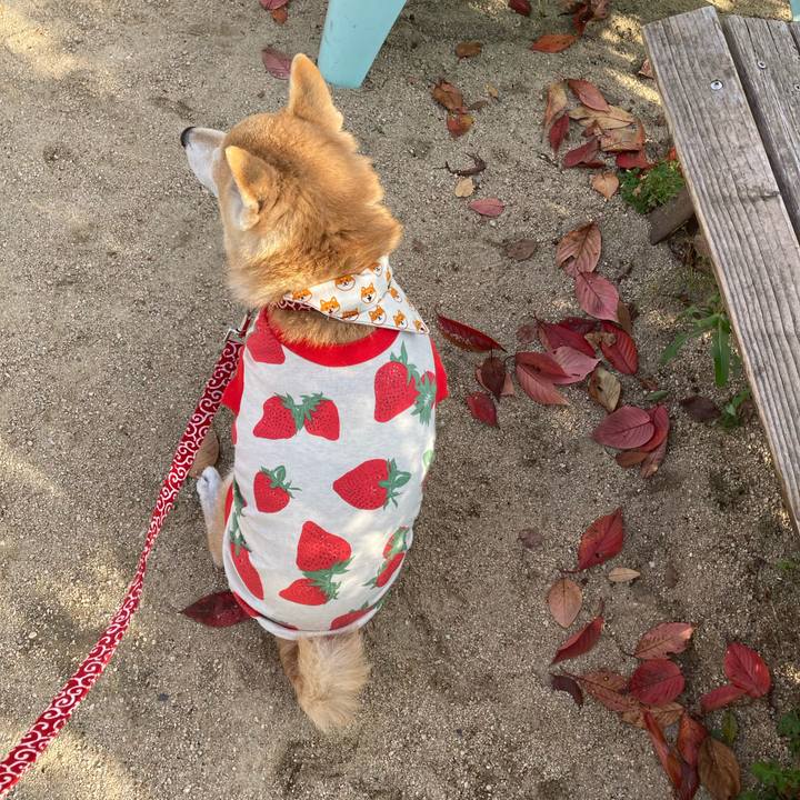 67461f9e a1ab 4cc9 85a2 c02cb6343aeb 1637838820311