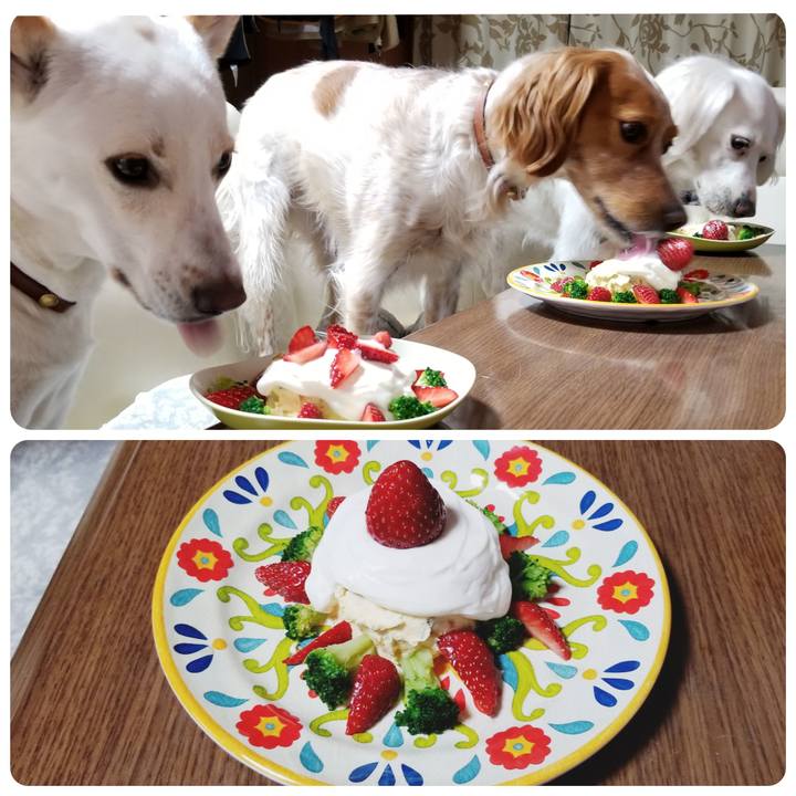 674635d5 0567 4560 93f1 74b0794e7694 1619097130821