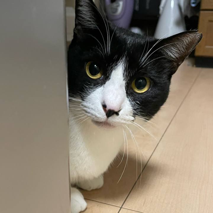 67463964 d43e 4f8a b2ab f1d02b7fae1f 1729424583860