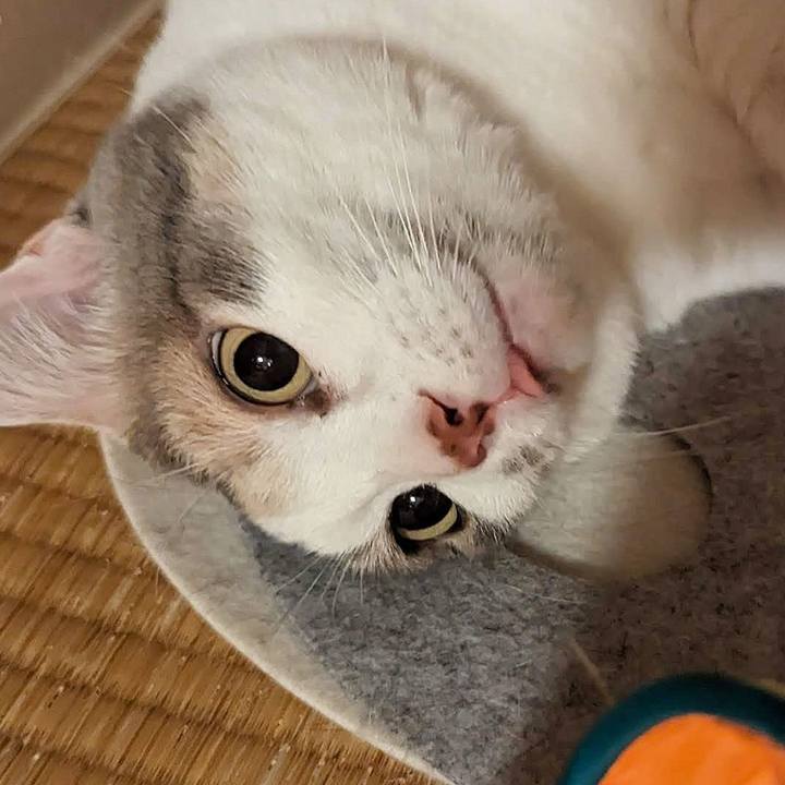 6746b6b3 f0eb 4149 8b2d ab4a328f655b 1696304297267