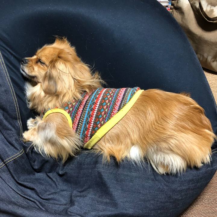 6746bb46 ba8a 4d58 94ec 35cc66584595 1554412209339