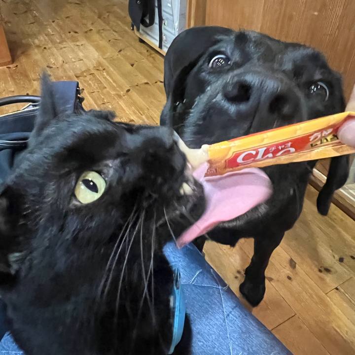 6746f439 cfea 4ff6 83e1 a8b1b3b8833e 1760247089609