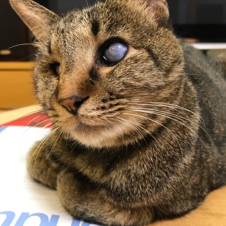 6747220a 620d 433c a7d9 ae5a1bc134e0 1548208885153