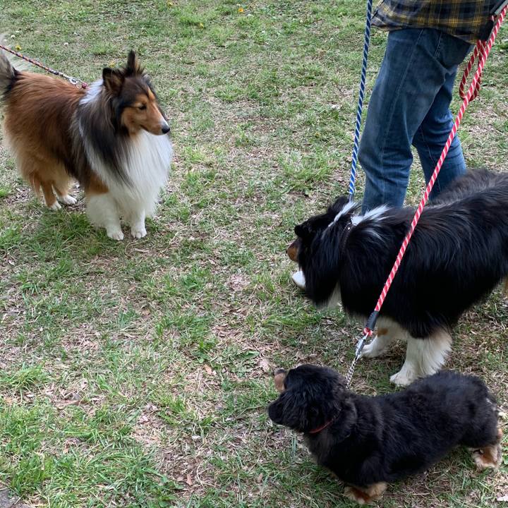 67472647 7e63 48af b192 42d52c65ff66 1557006704919