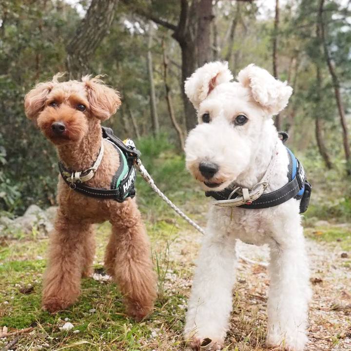 674733fd cec0 4734 871d 245b74af5cbb 1571664659450