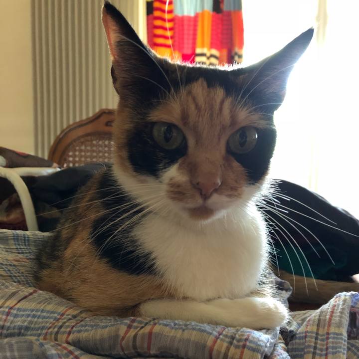 67473b3d 2b73 46ce 8148 642140d864db 1531222083583