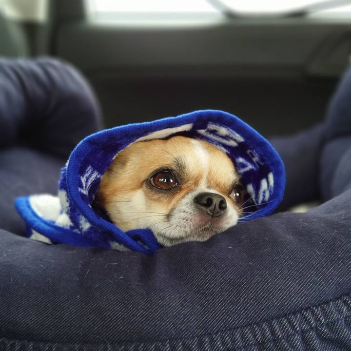 674753ea 1bf9 4089 adad f70319e9c7c2 1629001525404