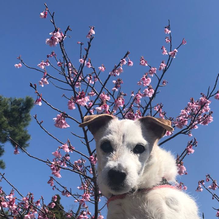 6747f051 12f8 4487 ac11 91748fa986ff 1615705275150