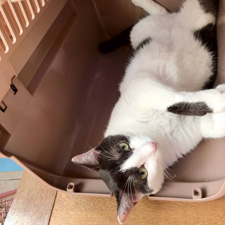 67481e43 54d5 45fb b036 0f8d13194997 1534295551316