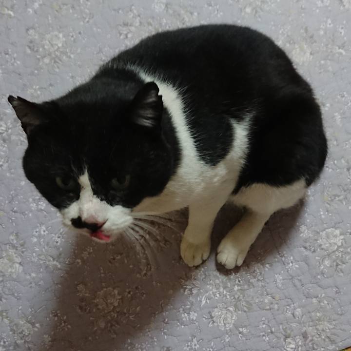 67482561 b01f 4bb9 b705 ff97ce11fac3 1554205886815