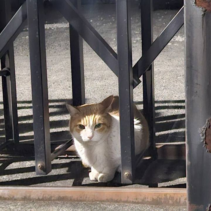 67482810 6d44 470f 8c6d 3f77f7cf95db 1739881832051