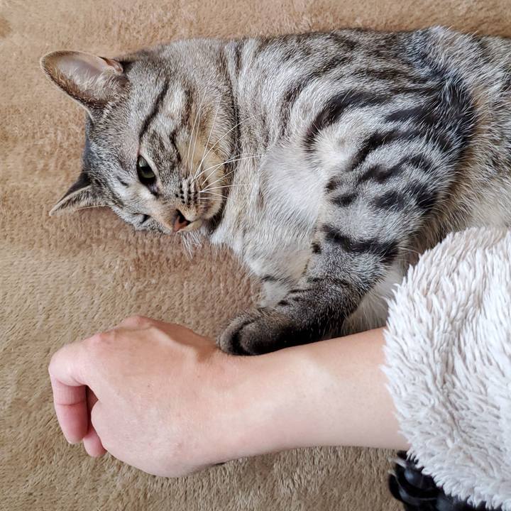 674897a9 f6c0 41a0 b2fa c86b9ee0f4f9 1712659770625