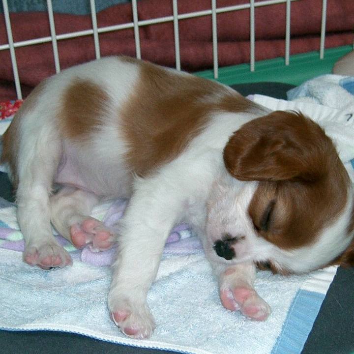 67489d14 58a6 41d2 a592 07d5ded70ba6 1619089917328